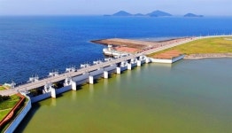 기네스북에 오른 새만금에서, 끔찍한 일 진행되고 있다 [최병성 리포트]