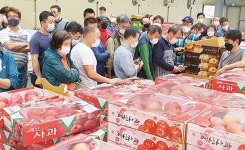 아무리 먹어도 맛있는, 올해도 예산사과 합시다