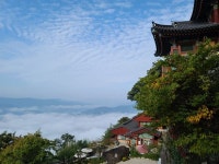 소들도 찾아온 사성암에 펼쳐진 운해