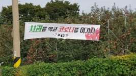 사과 먹고 코로나 이겨내자, 어느 사과 농장주의 호소