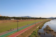 코스모스 옆에 억새가 살랑살랑, 경주의 가을이 여기 있네