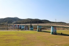 코스모스 옆에 억새가 살랑살랑, 경주의 가을이 여기 있네