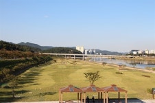 코스모스 옆에 억새가 살랑살랑, 경주의 가을이 여기 있네