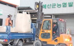 황금들녘 가을걷이 한창... 수확량 줄어 한숨