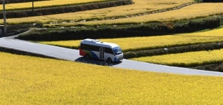 [거창] 황금 들녘 달리는 시골버스