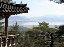 [[김삼웅의 인물열전] 다시 찾는 다산 정약용 평전] 외동딸 결혼 매조도 혼수품으로