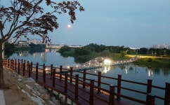 10월에는 용문산은행나무길을 걸어보세요