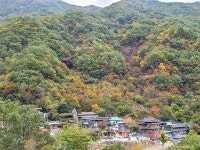 지리산 피아골에 이런 의미가 있었구나
