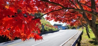 [함양] 오색단풍으로 물든 오도재