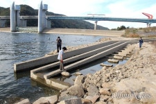 [보도 후] 낙동강 합천창녕보 꽉 막힌 어도, 드디어 뚫렸다