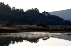 [창녕] 태고의 신비 우포늪의 가을