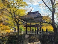 [사진] 연인들의 발길이 끊이질 않는 천은사 수홍루