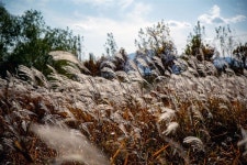낙동강 체육공원에 이런 곳이... 인생 스팟 찾았습니다
