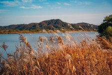 낙동강 체육공원에 이런 곳이... 인생 스팟 찾았습니다