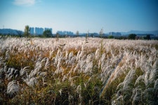 낙동강 체육공원에 이런 곳이... 인생 스팟 찾았습니다