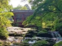 우연일까... 연인과 같이 건너면 결혼하게 되는 다리