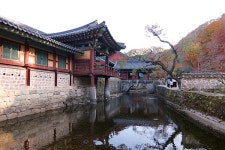 전향 거부한 여자 빨치산, 봉선화 노래 부르며 죽다