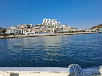 선홍빛 애기동백, 탄성 자아내는 바다... 여기 겨울이 다 있네