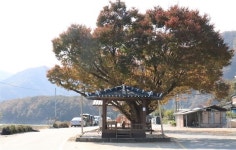 산 좋아하는 사람들은 다 아는 반트반하 명소