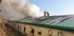 [사천] 축사 화재로 돼지 1000여마리 죽어