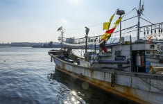 소주 같이 맑은 바다, 제철 묵호태... 여기 다 있습니다