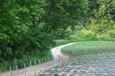 1945년생 해방둥이인 나, 70년 살아보니 깨달은 것