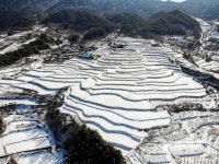 하얀 눈으로 덮인 사포마을 다랭이논