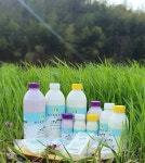 젖소 4마리로 시작한 목장... 좌충우돌 목장지기의 하루