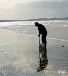 영하 추위에도 바글바글... 몽산포해변에 몰린 해루질객