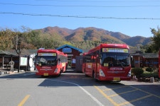 기차 다닌다고 나아지려나... 다방 주인이 한탄하는 이유