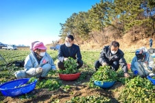 [사진] 남해 겨울은보물초로 푸르다