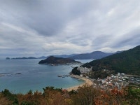 새 가족이 된 오골계 다섯 마리, 이것들 보통이 아니네