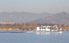 낙동강 그 배는 왜 멸종위기 백조를 쫓아냈을까?