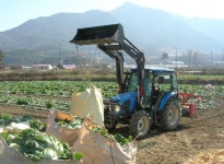 트랙터가 탱크로, 화학비료가 화약이 된 농업기술
