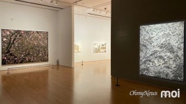 대구와 예술가를 합친 작품들, 여기서 볼 수 있습니다