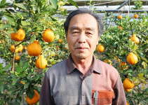 지리산 산골에도 한라봉이 열린다?