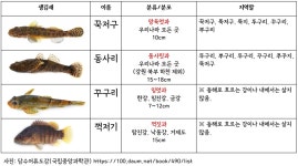 꾹저구와 뚜구리와 뿌구리