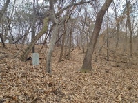 화성 태봉산에는 융릉과 관련한 비석이 있다?