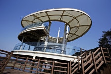 상주 경천대로 이른 봄마중 어때요?