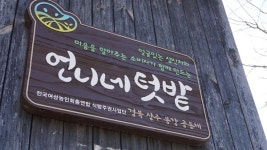 이런 텃밭도 있습니다... 돈도 벌고, 지역도 지키는 언니들