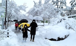 [사진] 폭설 내린 강릉, 한 초등학교의 새학기 등교 풍경