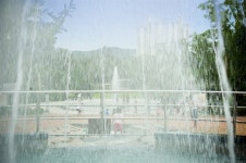 관악산 호랑이 기운 누르려고 설치한 사자암 [단칼에 끝내는 서울 산책기]