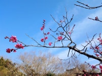 전남 무안과 영암을 잇는 이 다리가 상징하는 것