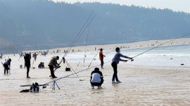 유튜버 때문에 만리포해수욕장 인산인해?