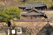 특별한 매화를 보러 산청에 가봤습니다