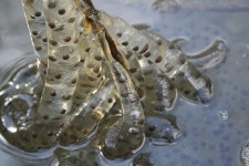 매장 당할 뻔했지만... 청주 신도시 주민들이 빚어낸 보석 [파리로 가는 길]