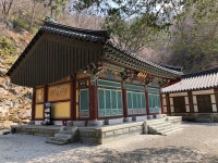 나무 330만 그루 심어 가꾼 숲... 봄 기운이 가득합니다