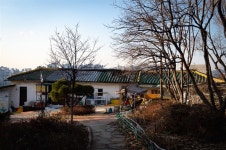 매바위에서 연꽃을 감상하고 연희별궁을 거닐다 [단칼에 끝내는 서울 산책기]