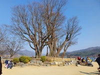 남한강변에 흐르는 침묵속의 고요함