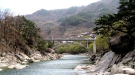 식목일 앞두고... 지리산 용유담 숲 벌목 논란